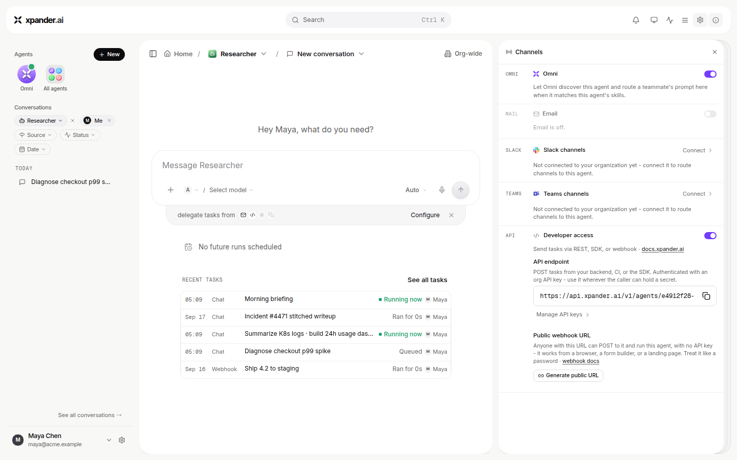 Channels pane listing Omni, Email, Slack channels, Teams channels and Developer access sections