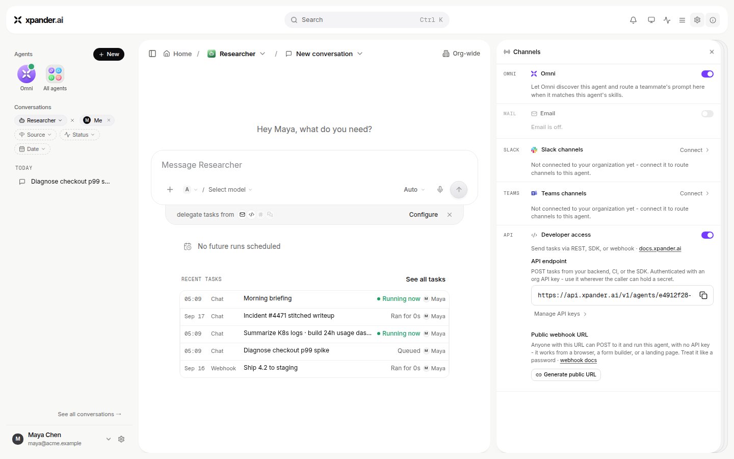 Channels pane listing Omni, Email, Slack channels, Teams channels and Developer access sections