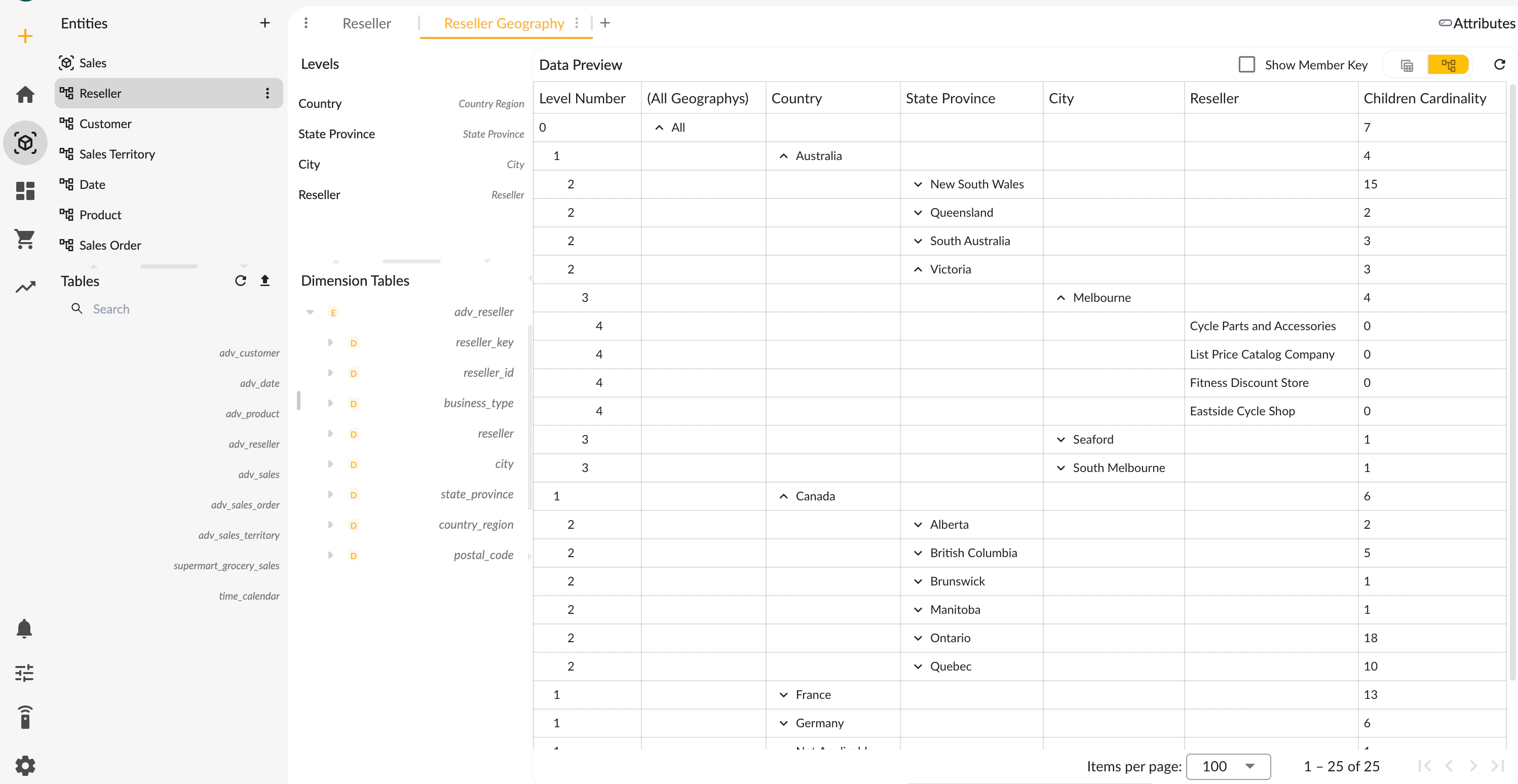 Dimension Members Preview Tree