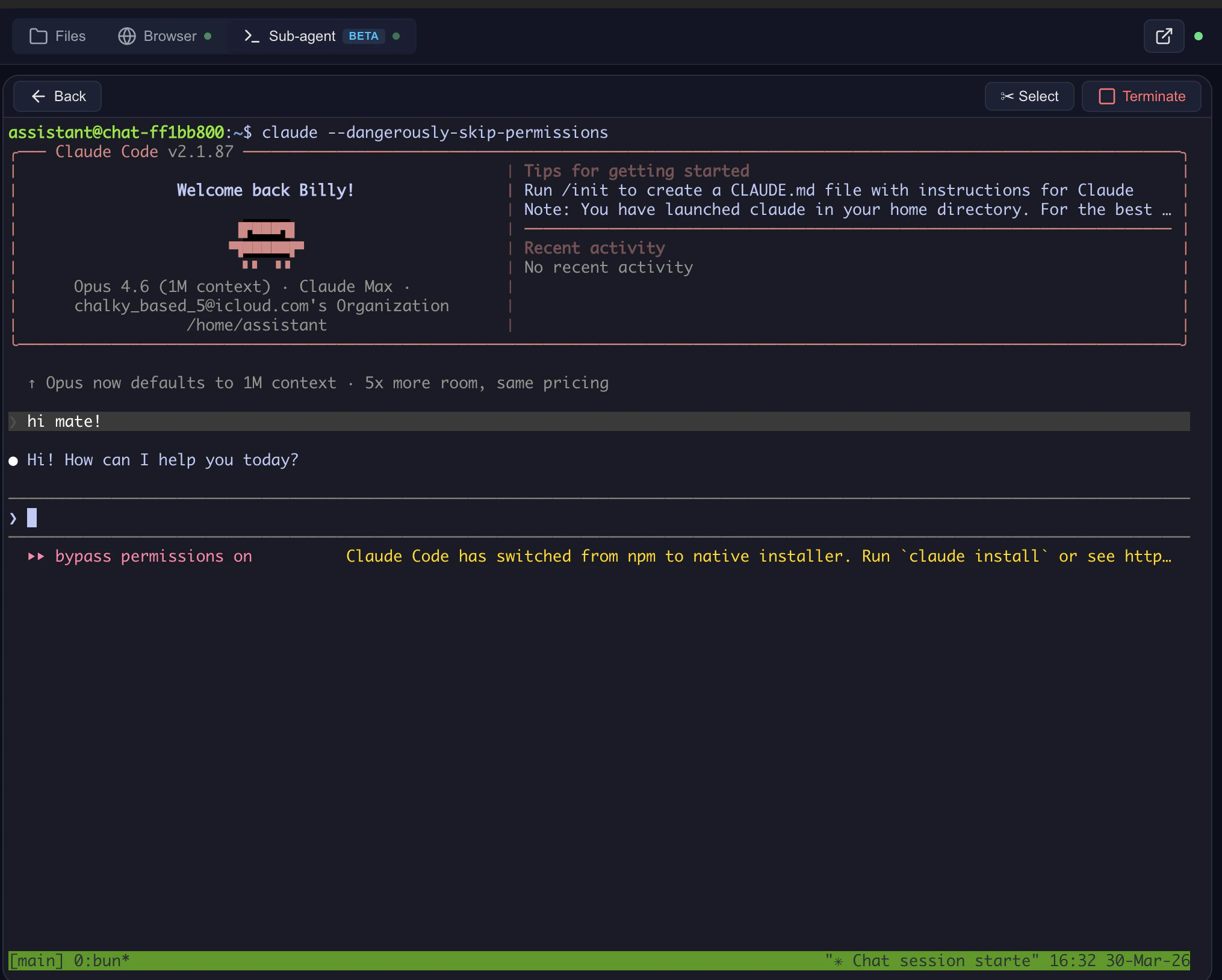 Interactive terminal running Claude Code in the side panel