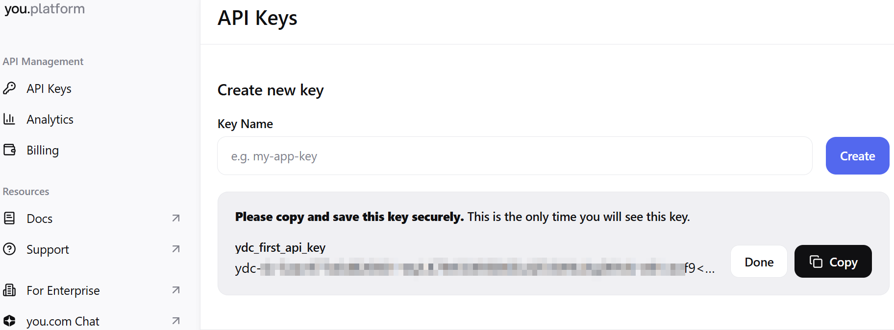 Completing the API key creation in you.com