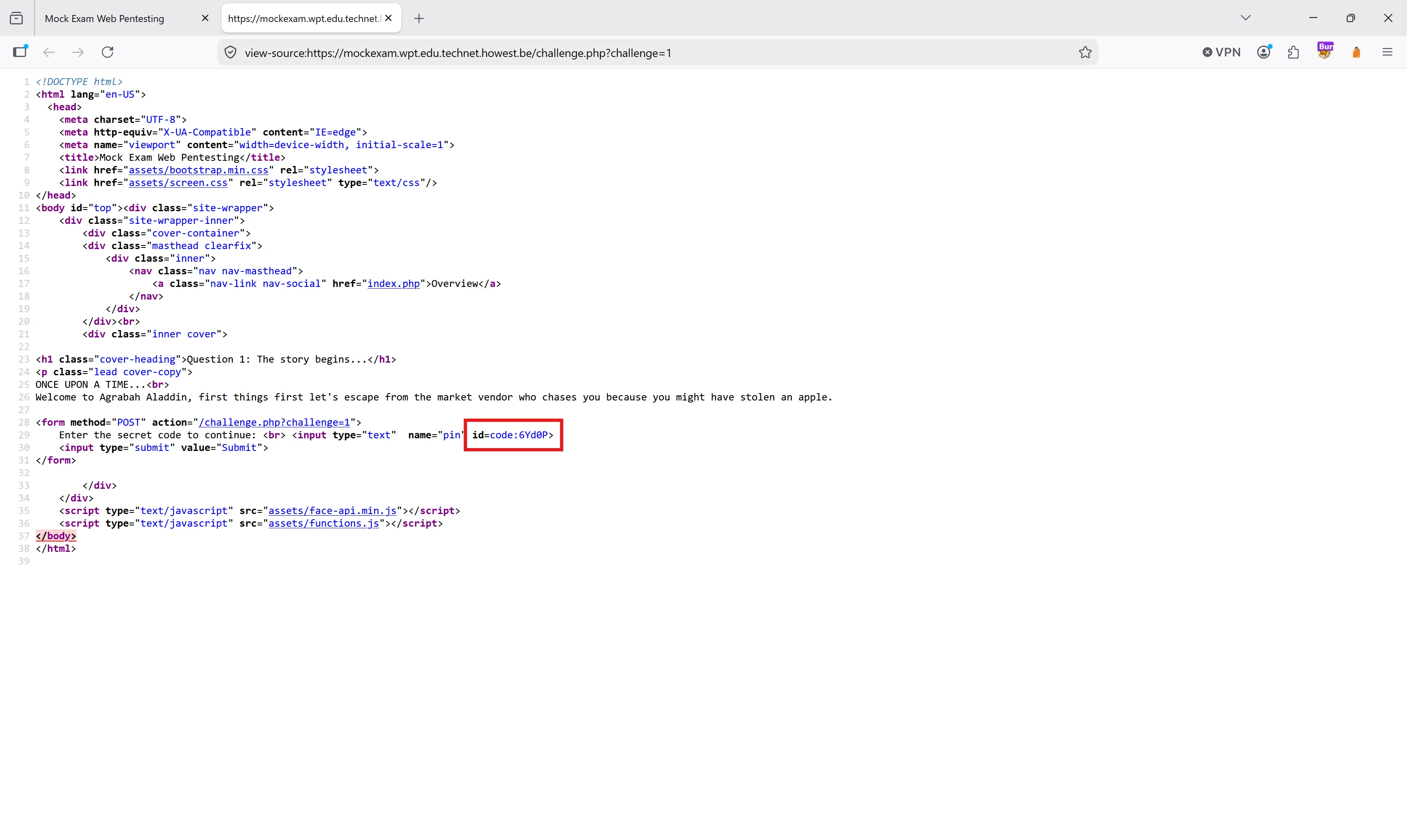 Page source showing the pin in the input id
