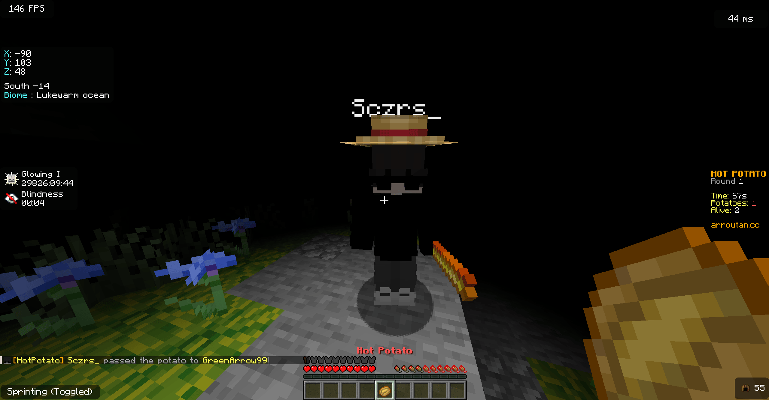 A blinded potato holder after being struck by the Blindness Wand