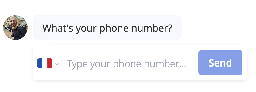 Phone number input in bot