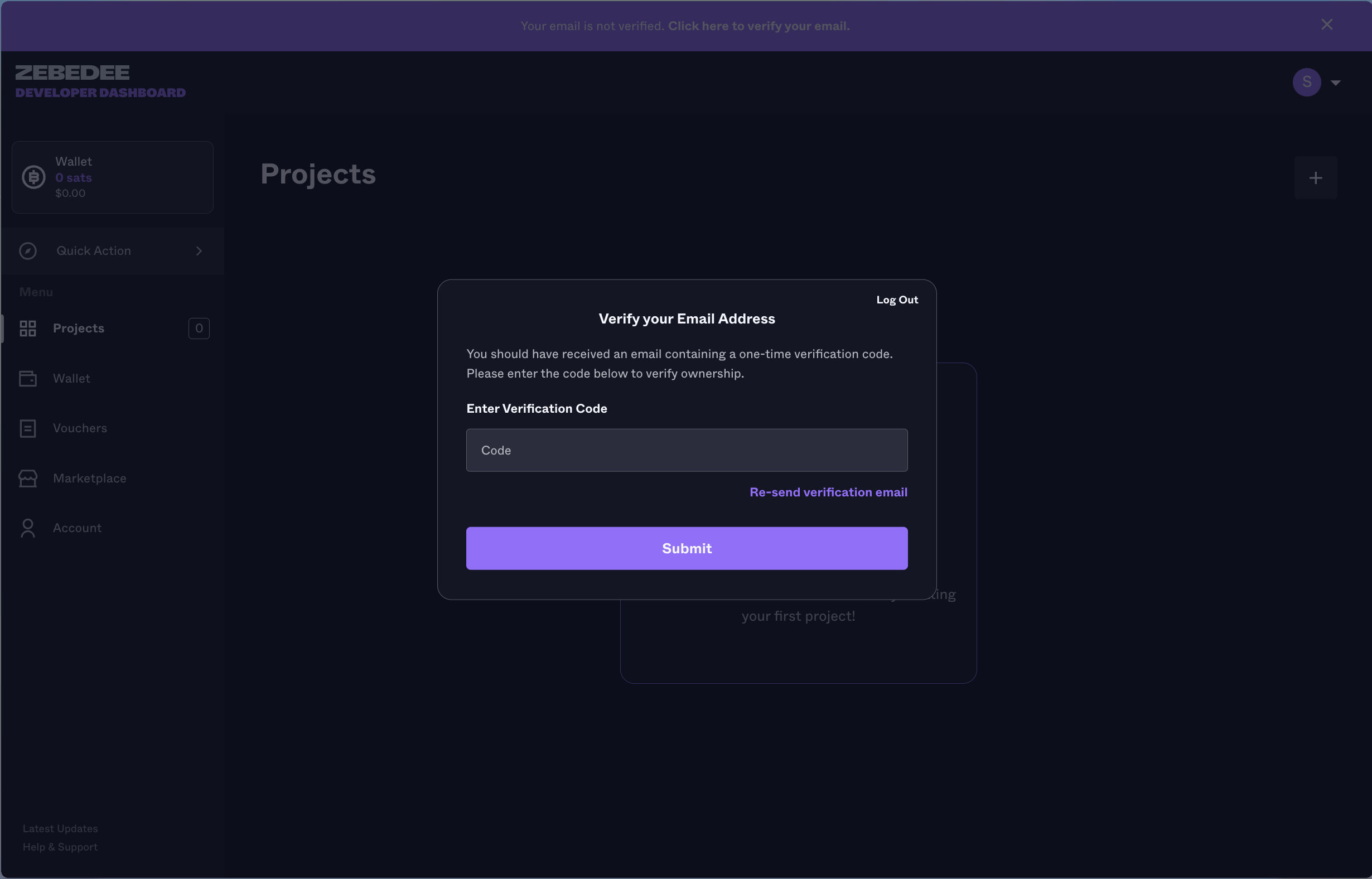 ZBD Developer Dashboard | Verify Email