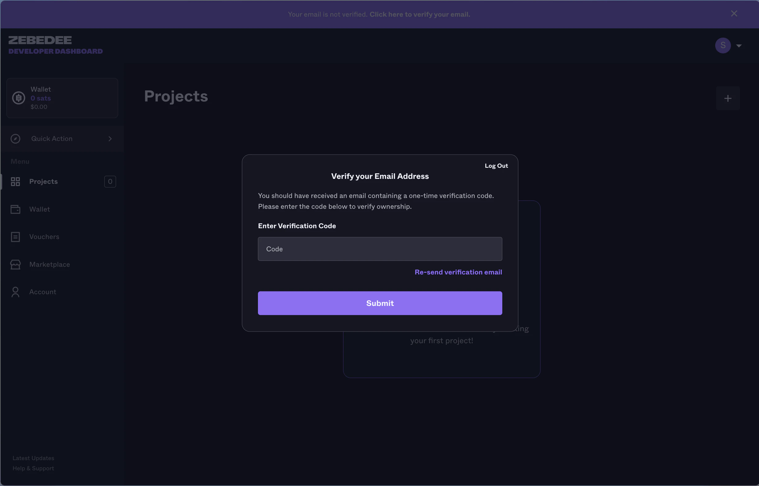 ZBD Developer Dashboard | Verify Email