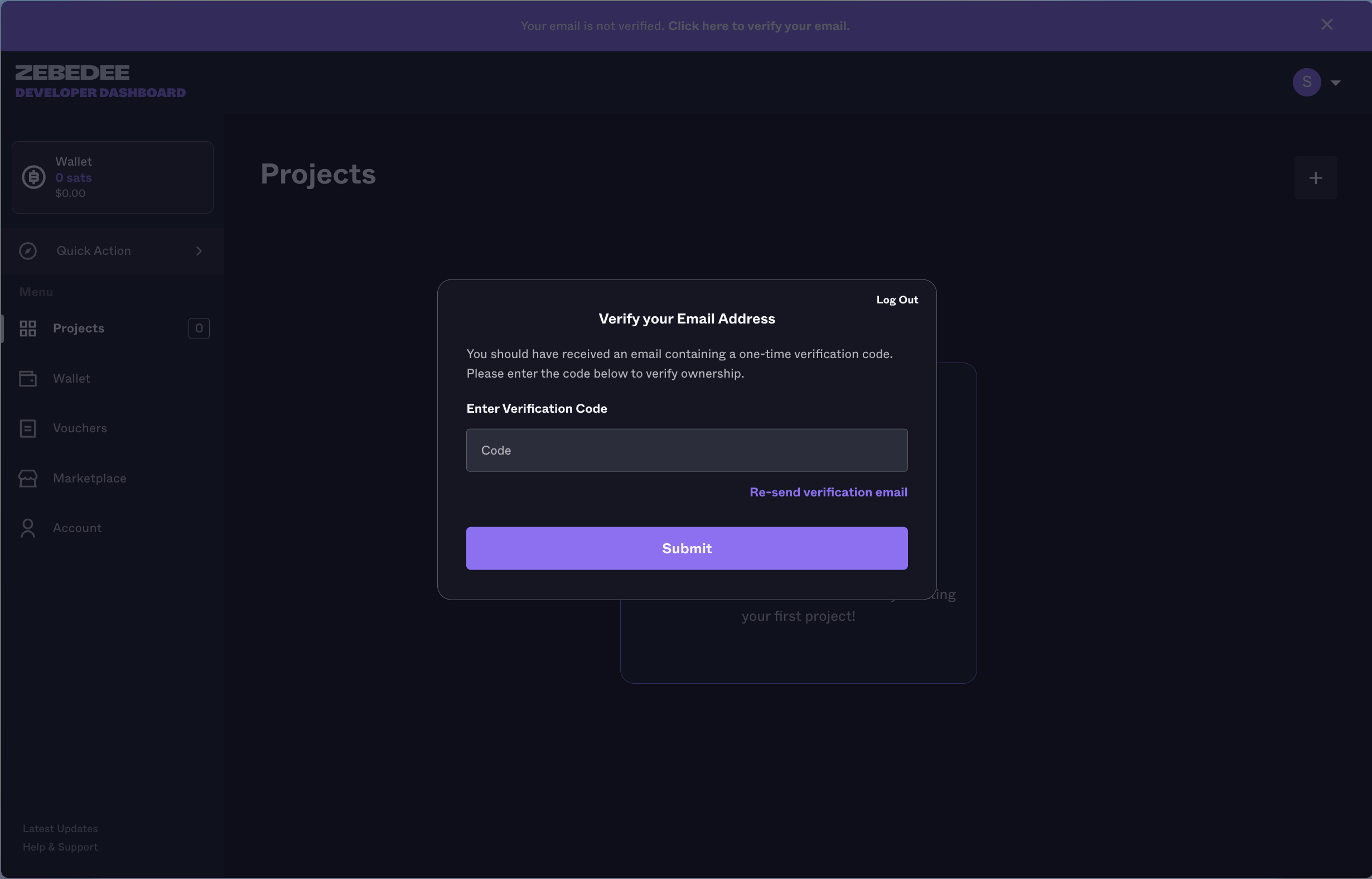 ZBD Developer Dashboard | Verify Email