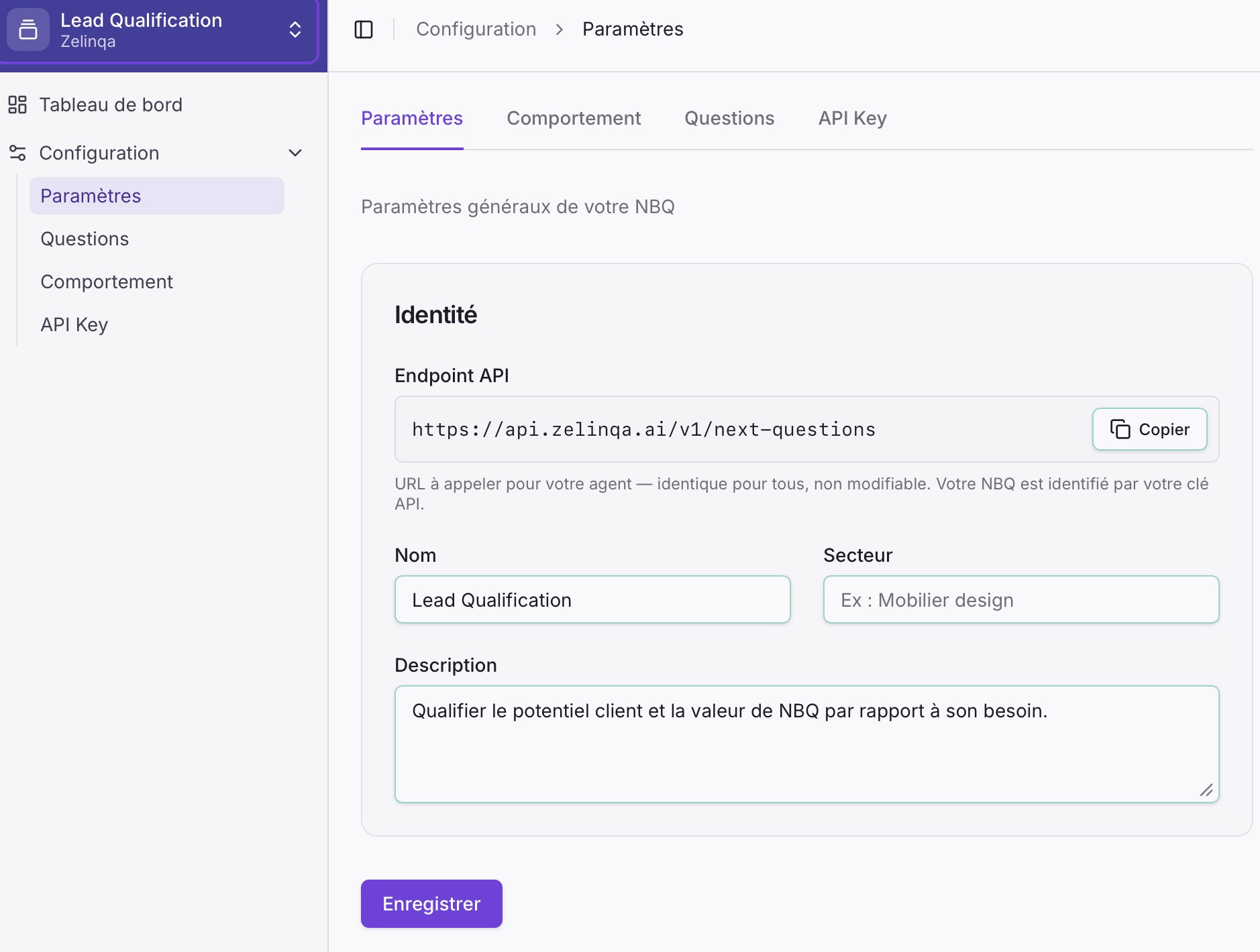 Parameters tab in the Zelinqa NBQ Studio