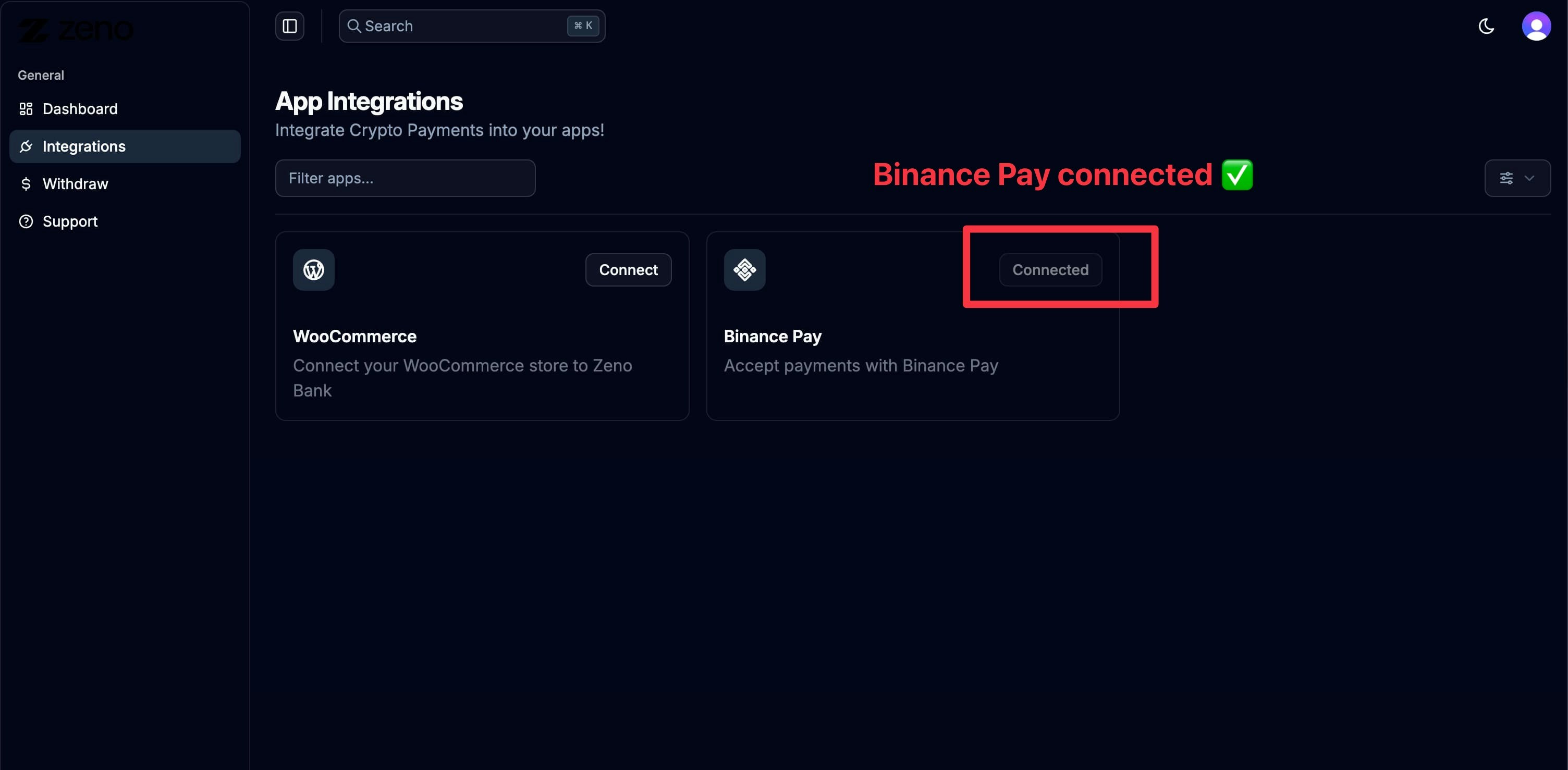 Binance Pay connected status