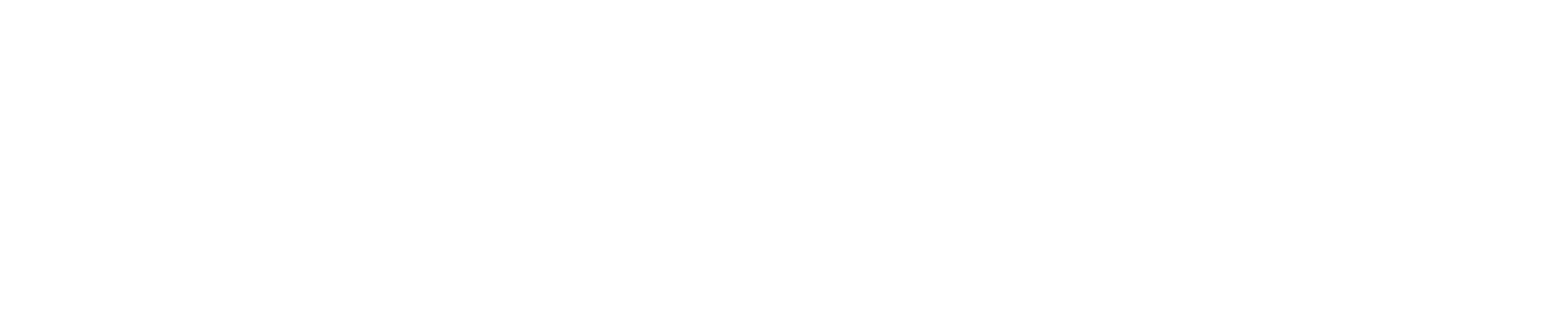 Zeno wordmark white