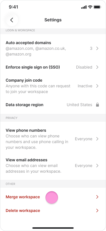 Merging Workspaces screenshot 2