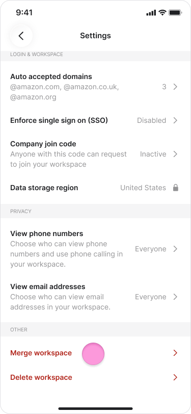 Merging Workspaces screenshot 2