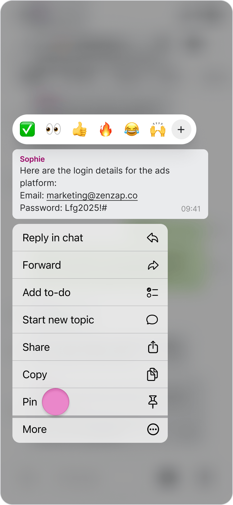 Pin Messages screenshot 2