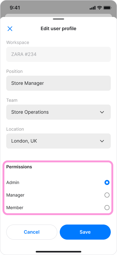 Manage Team Roles screenshot 6
