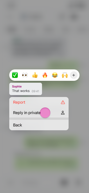 Reply to a Message screenshot 4