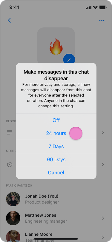 Disappearing Messages screenshot 3
