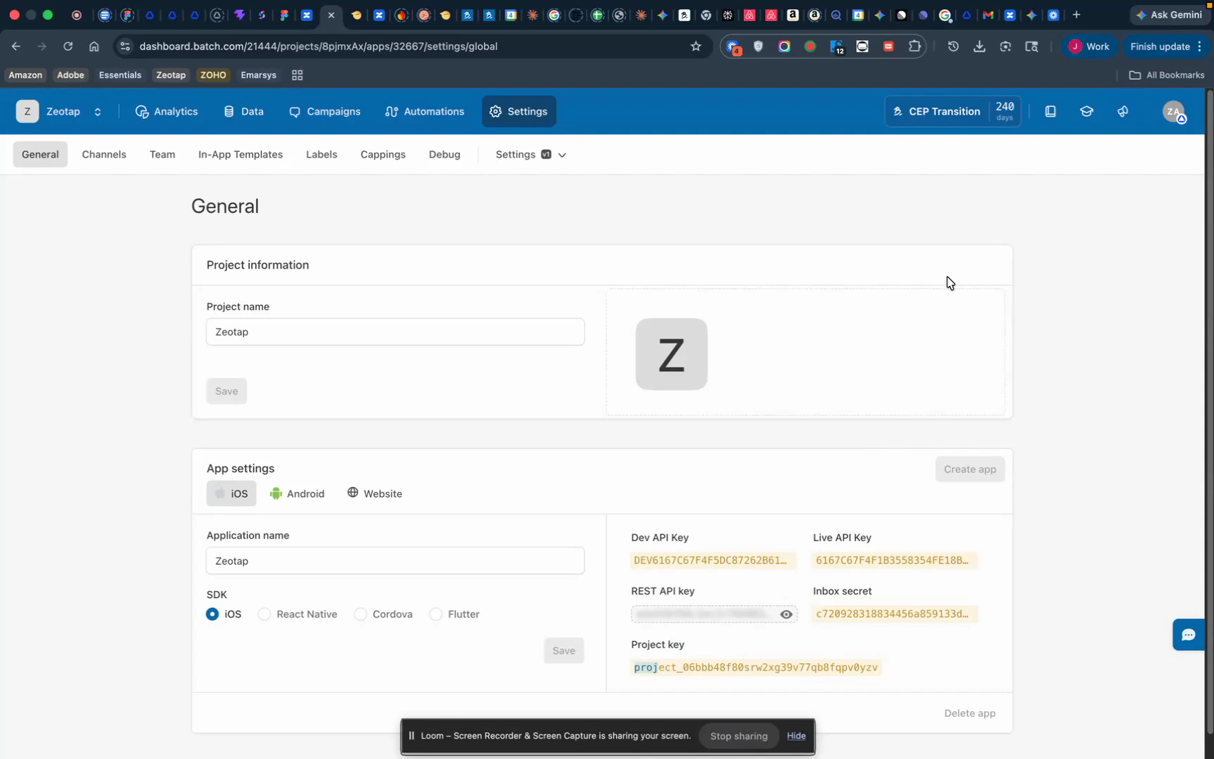 Batch project settings page showing Project name, REST API key, Live API Key, and Project key fields.