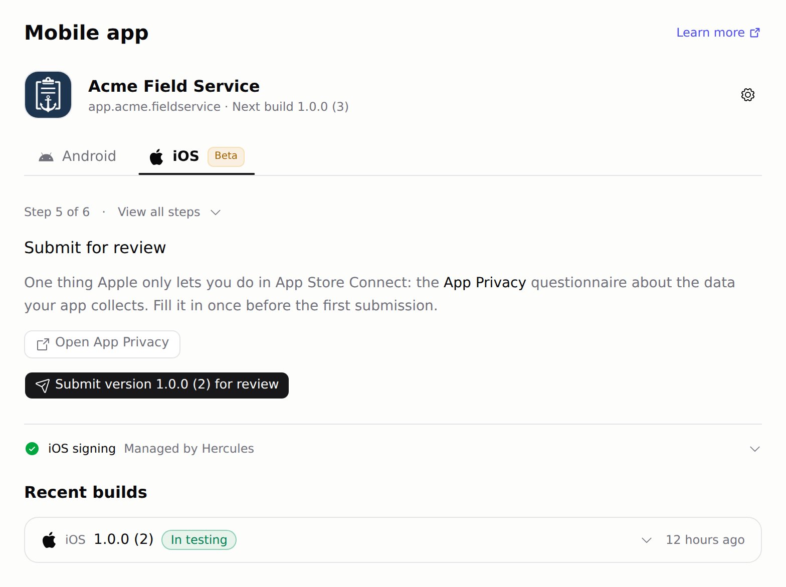 Submit for review step with the Open App Privacy and Submit for review buttons