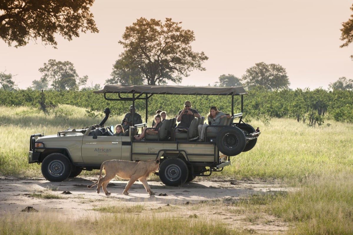 Safari Vehicle