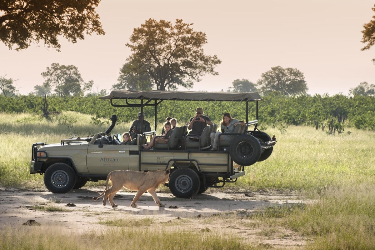 Safari vehicle in Zimbabwe