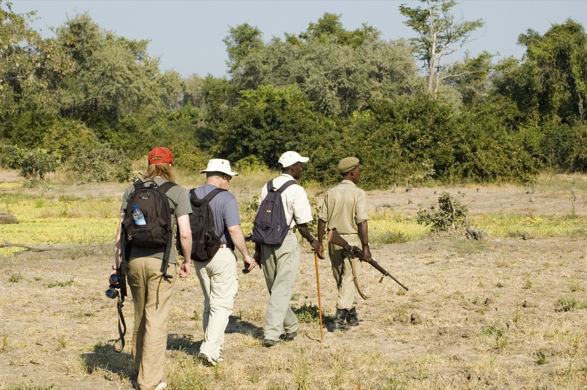 Solo walking safari adventure in Zimbabwe