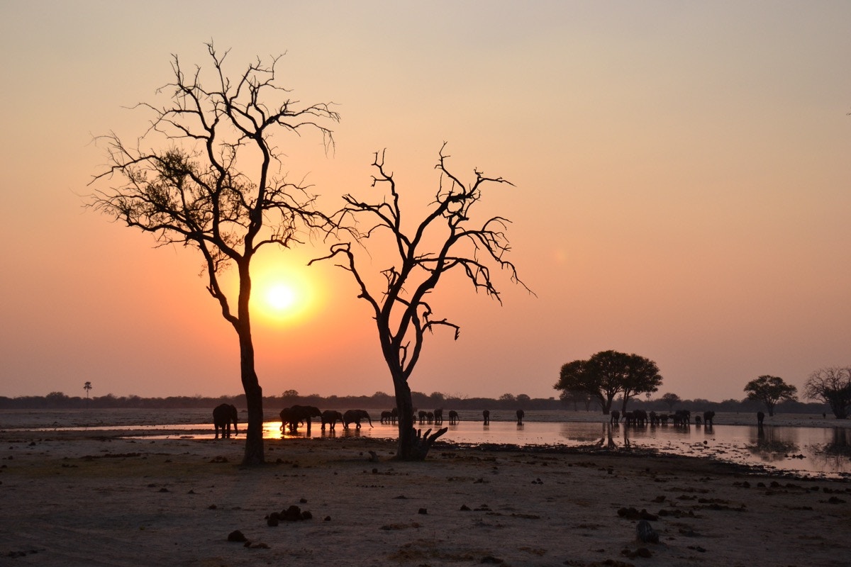 Hwange waterhole sunset