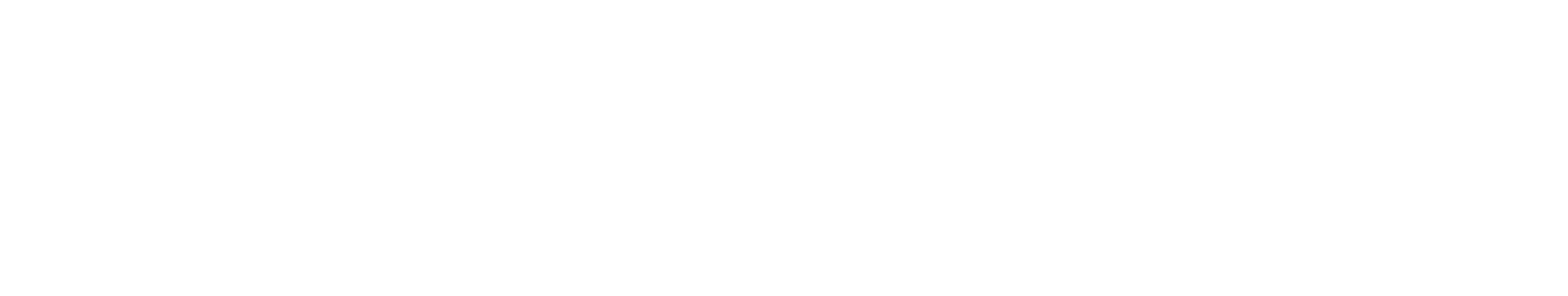 zipher logo