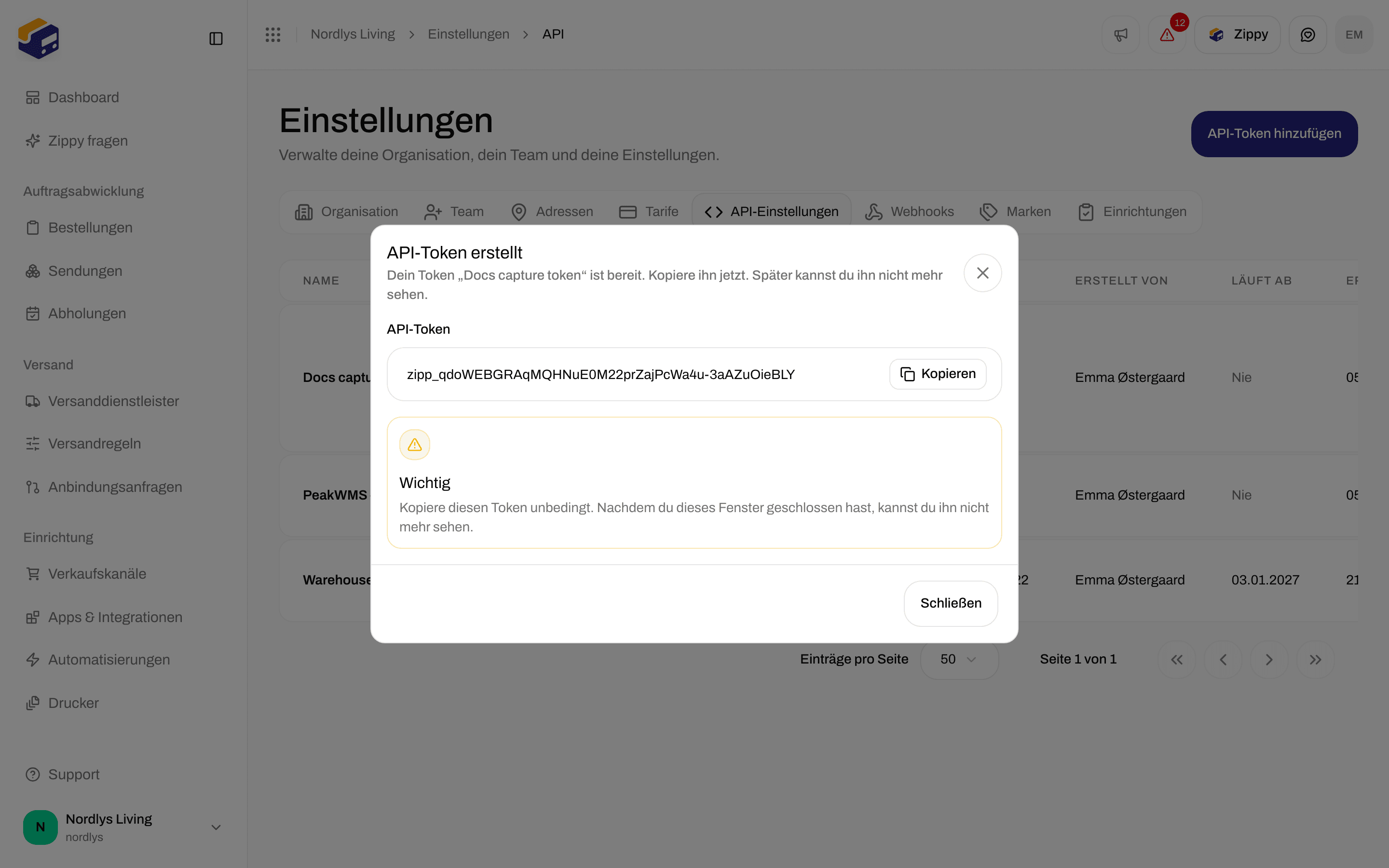 Fenster API-Token erstellt mit dem Token, einer Schaltfläche Kopieren und einem Hinweis Wichtig