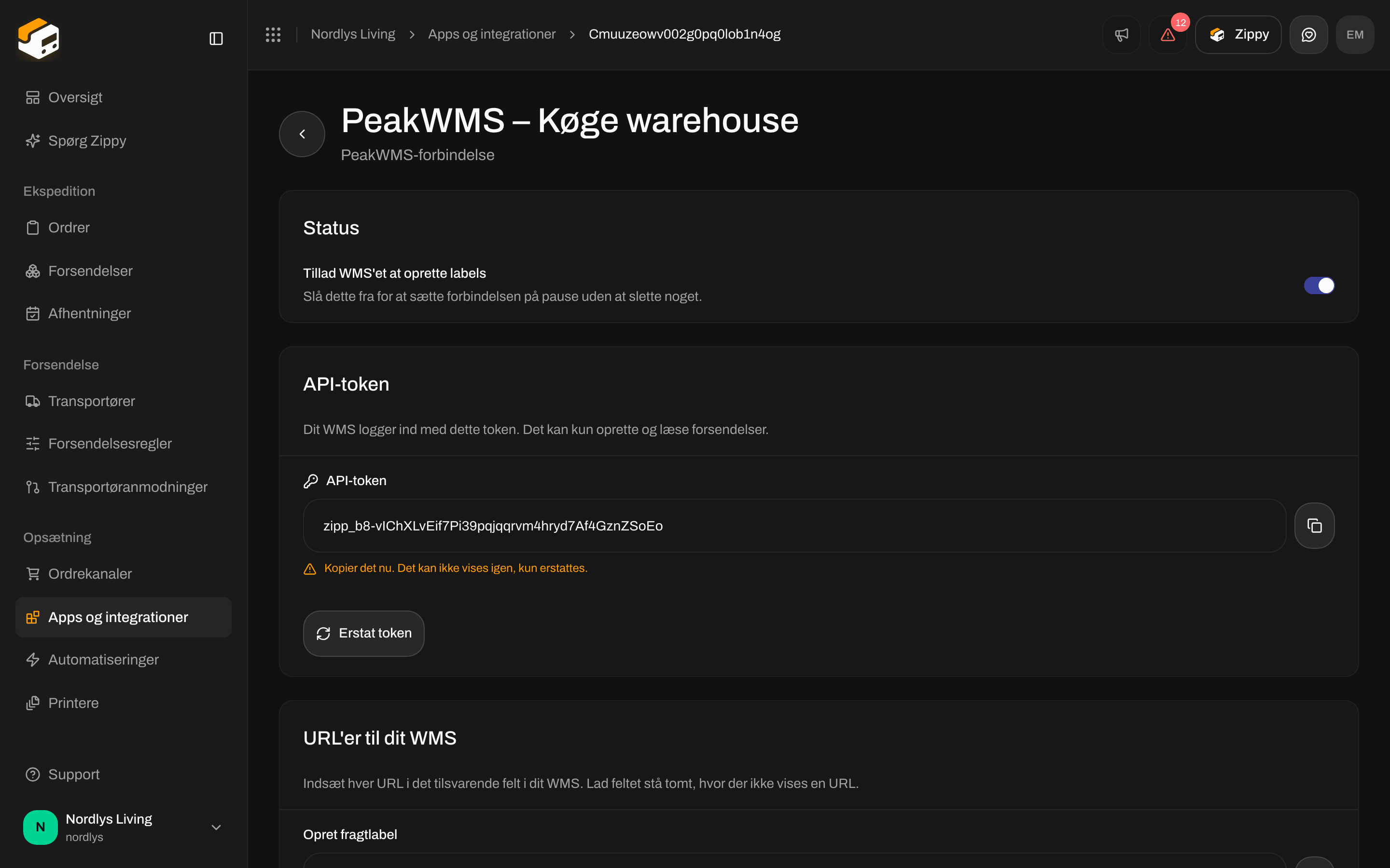 Forbindelsessiden, der viser API-tokenet én gang, med en kopiknap