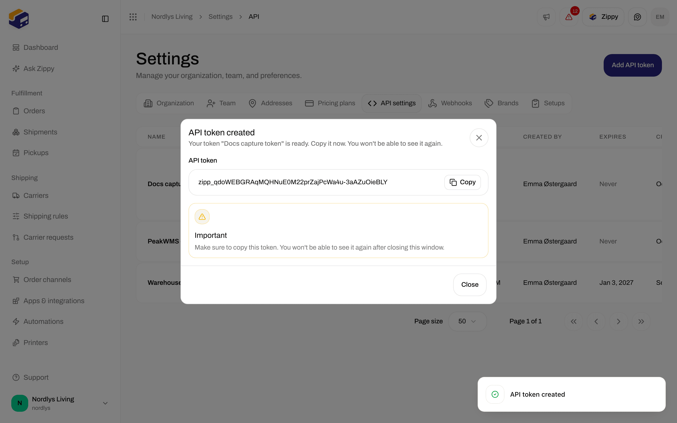 API token created window with the token, a Copy button and an Important warning