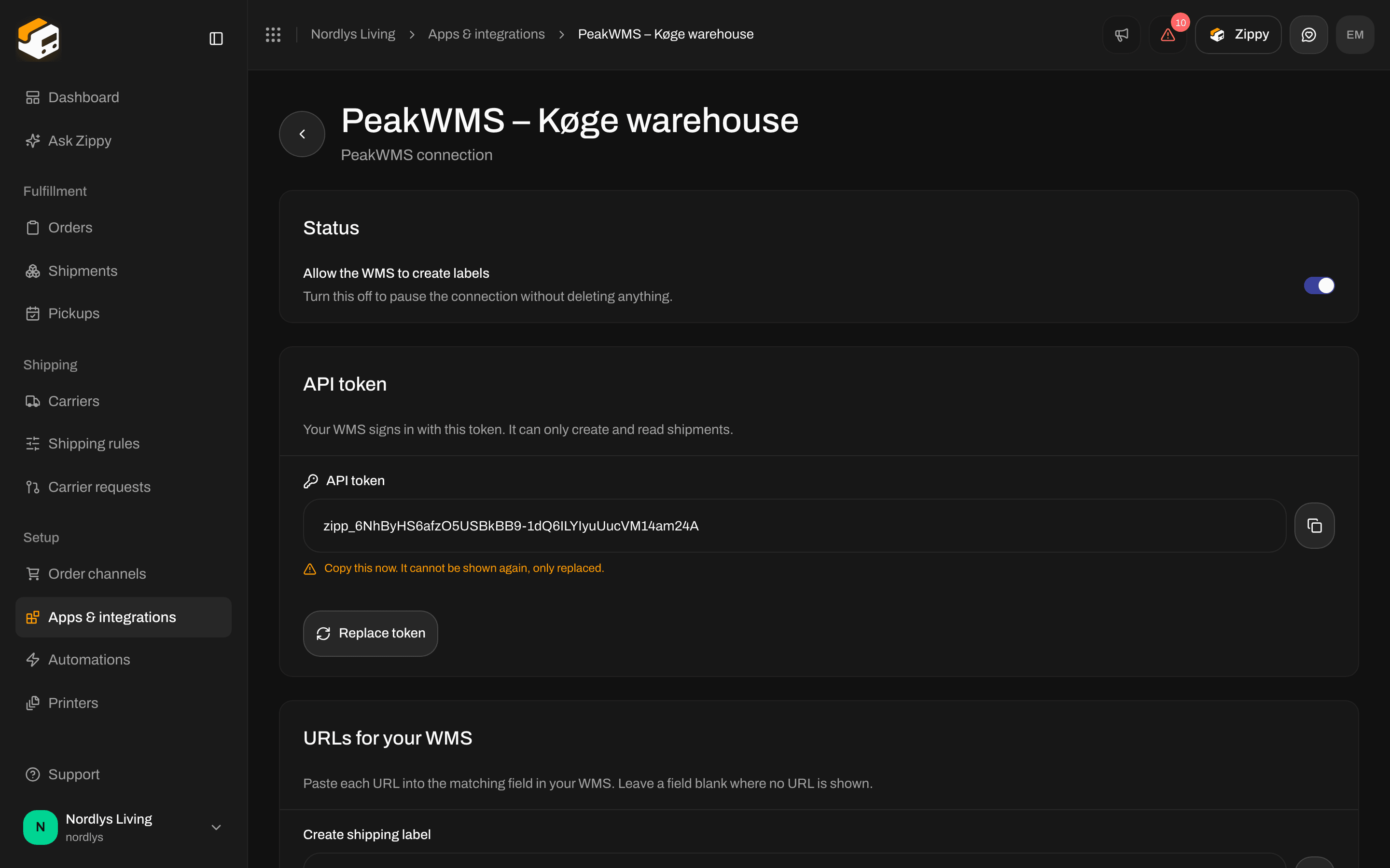 Connection page showing the API token once, with a copy button