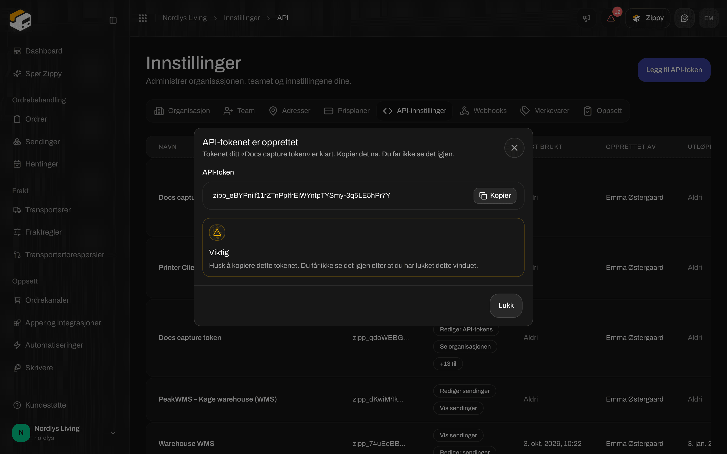 Vinduet API-tokenet er opprettet med tokenet, en Kopier-knapp og en advarsel med tittelen Viktig