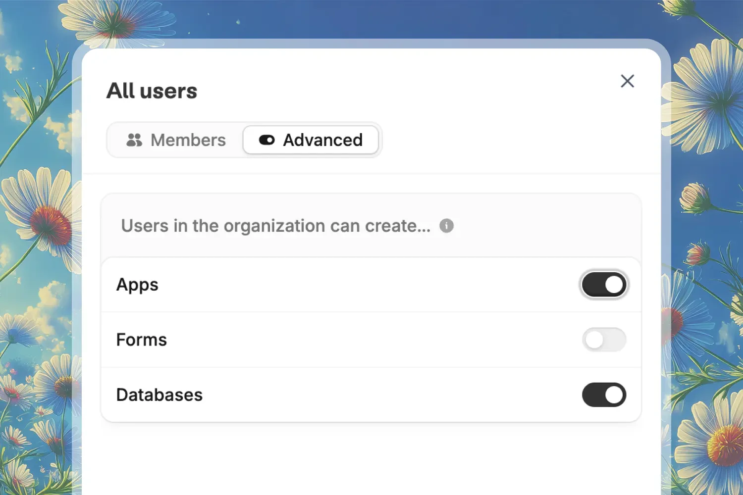 Advanced organization permissions in Zite showing creation access settings for apps, forms, and databases