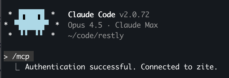 claude-code-postauth.png