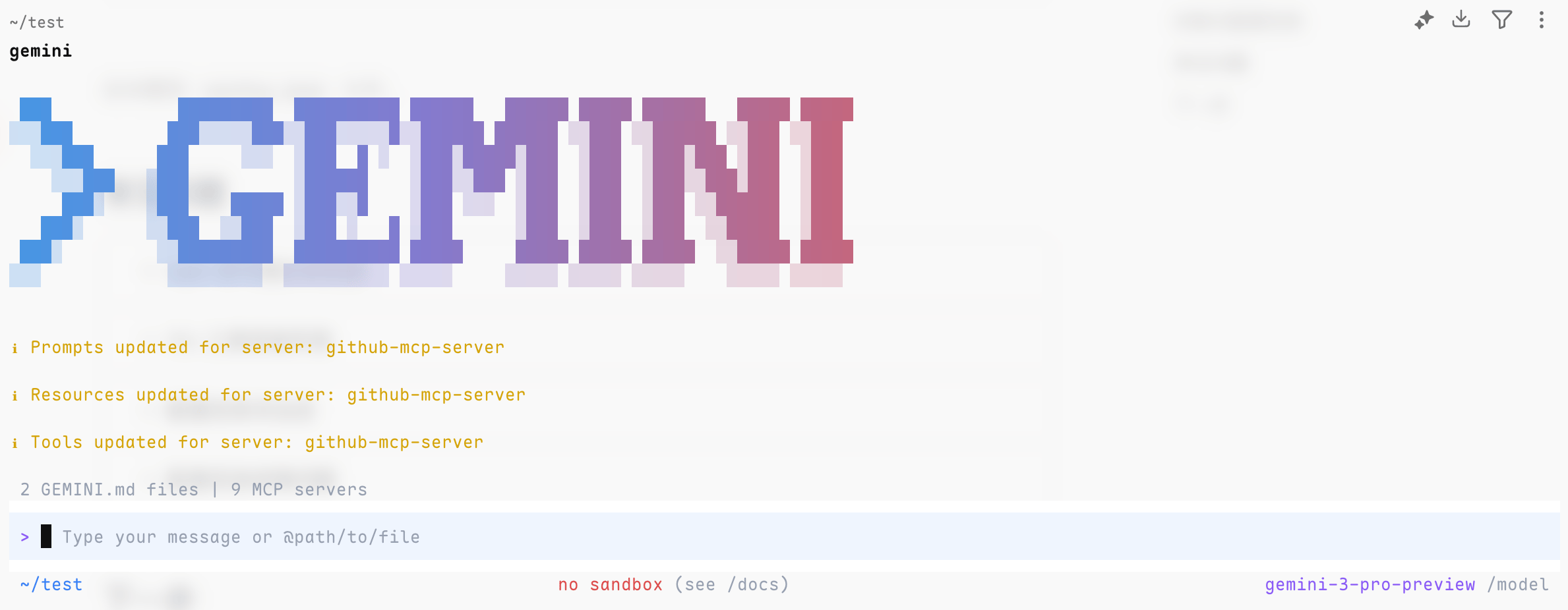 Gemini 运行界面
