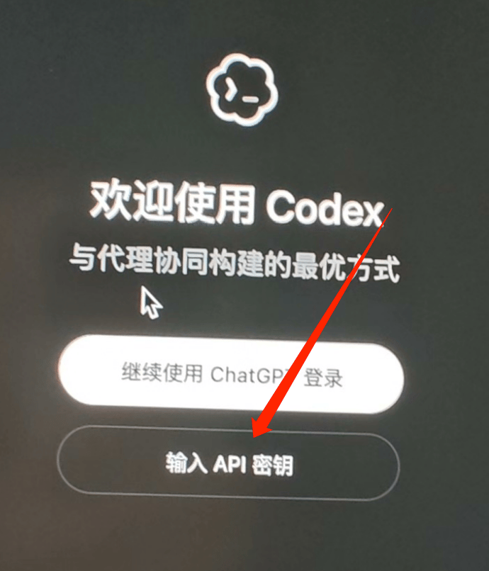 欢迎使用 Codex 界面,点击输入 API 密钥