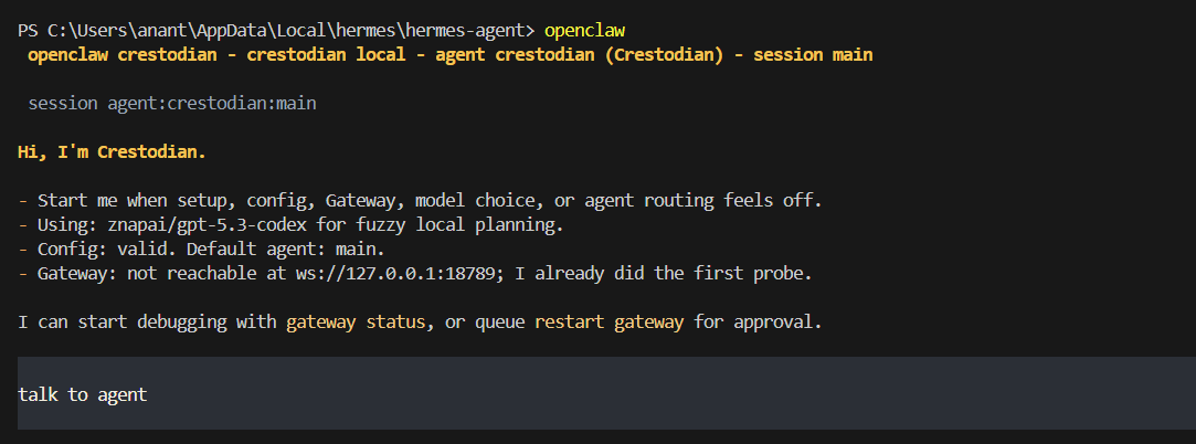 OpenClaw Terminal