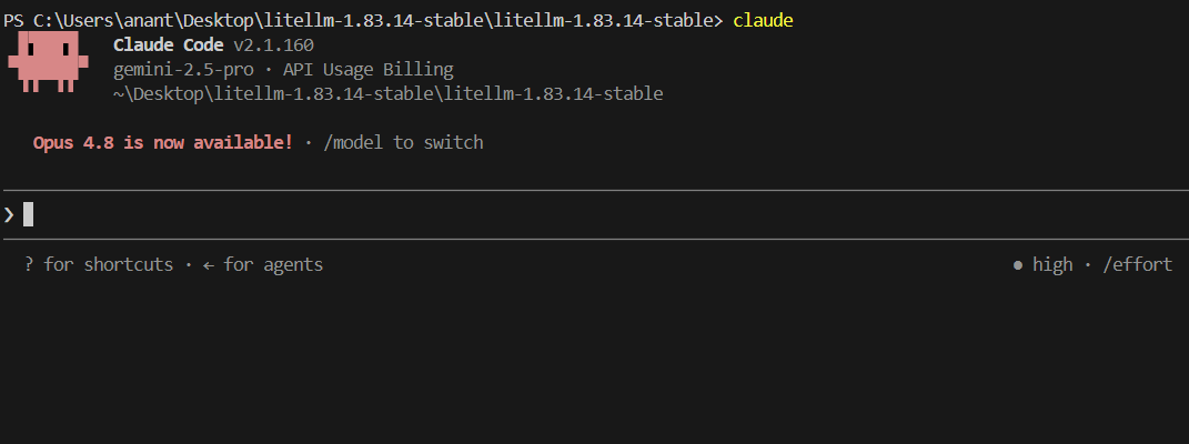 Claude Code Terminal