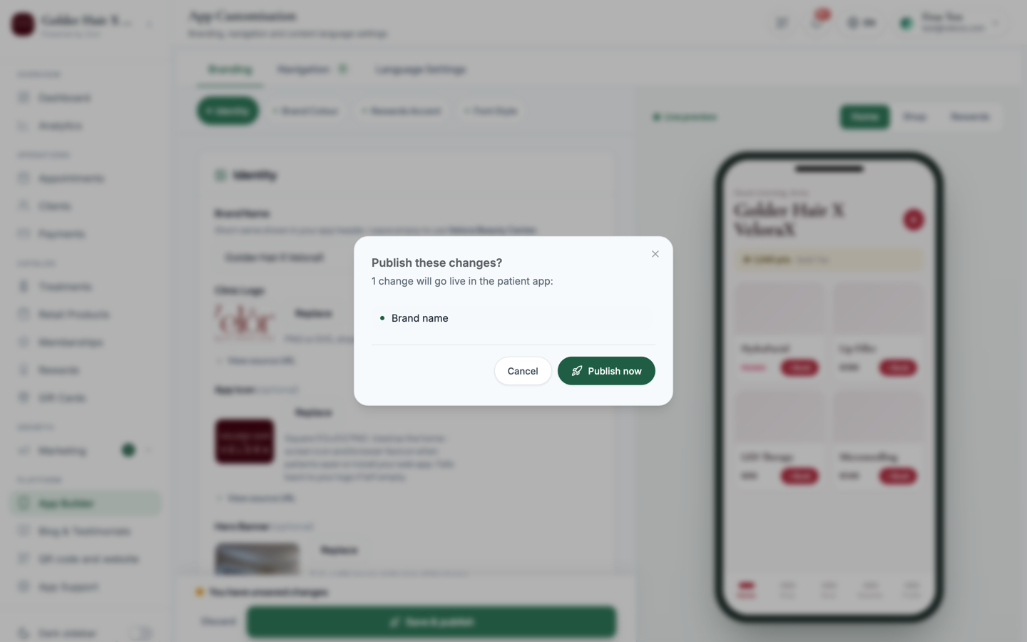 The Publish these changes review dialog
